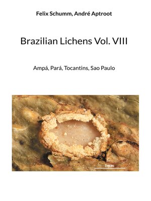 cover image of Brazilian Lichens Volume VIII